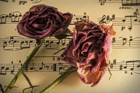 Notenblatt Rose Notenblatt Rose